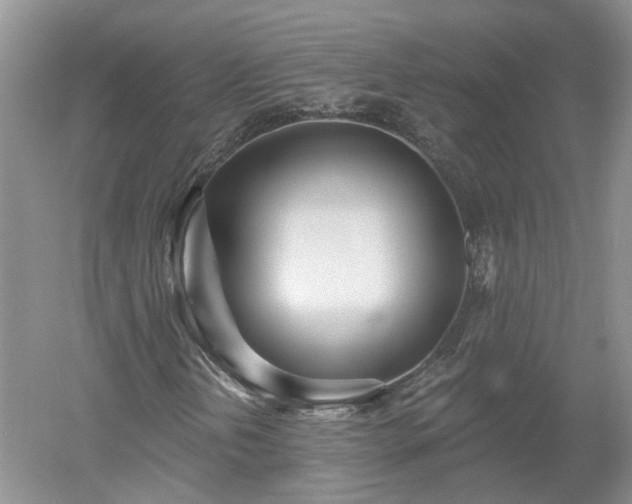 X0000053001202200507151912