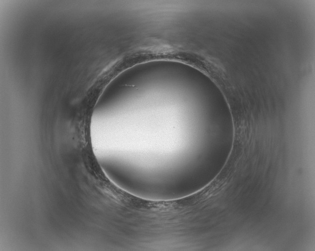 X0000053001205200507151912