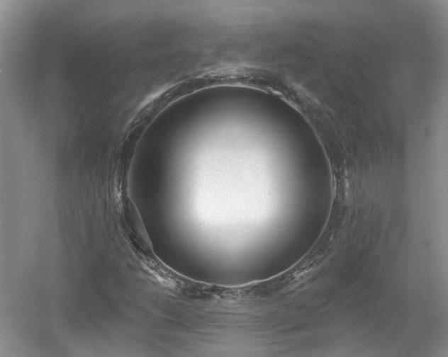 X0000053001206200507151912