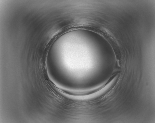 X0000053001210200507151912