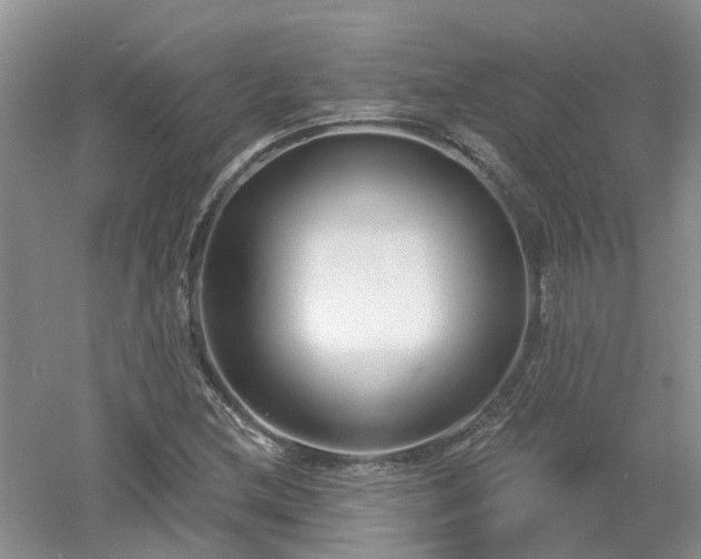 X0000053001212200507151912