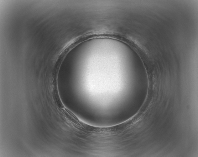 X0000053001213200507151912