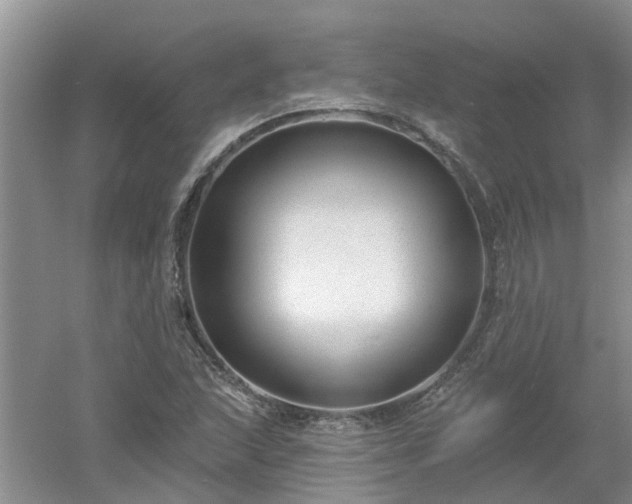 X0000053001215200507151912