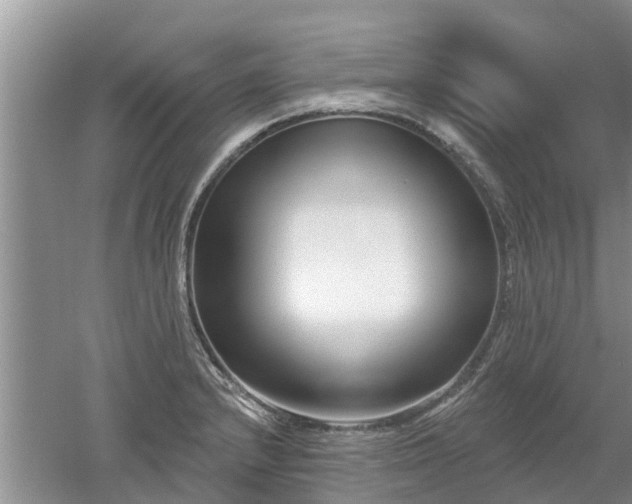X0000053001232200507151913