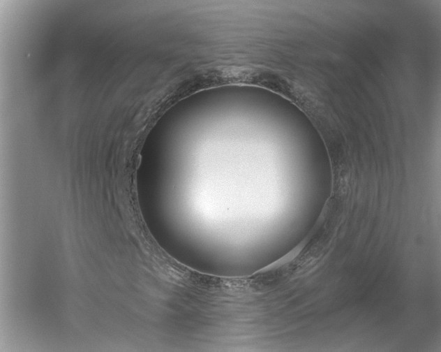 X0000053001249200507151912