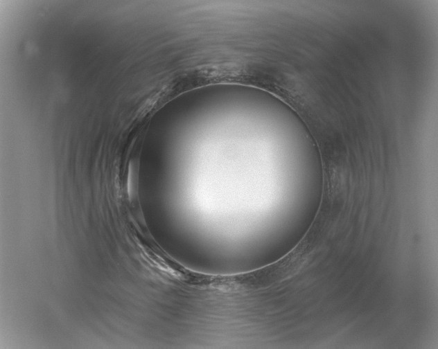 X0000053001250200507151912