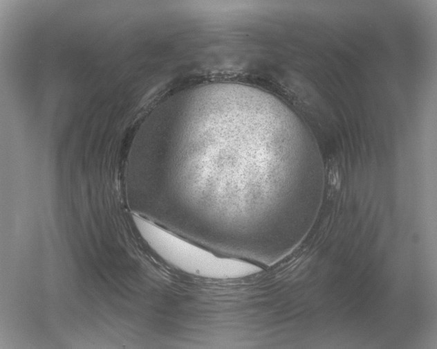 X0000053001252200507151912