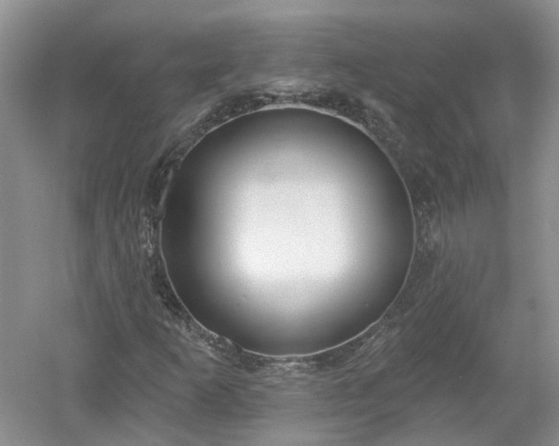 X0000053001253200507151912