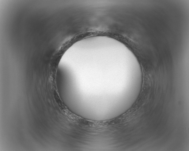 X0000053001254200507151912