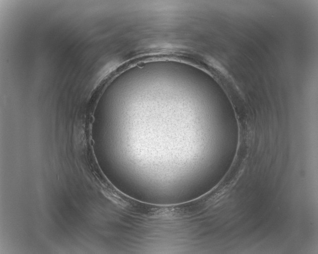 X0000053001259200507151912