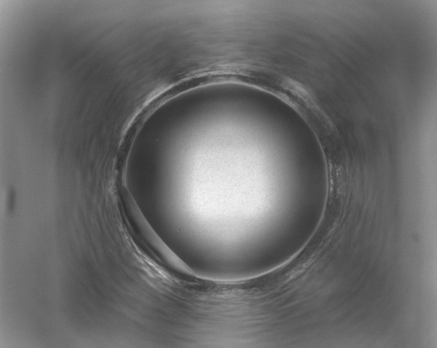 X0000053001260200507151912