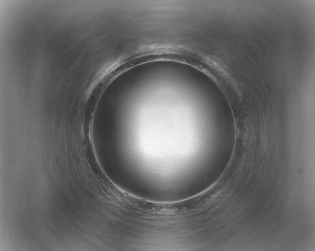 X0000053001261200507151912