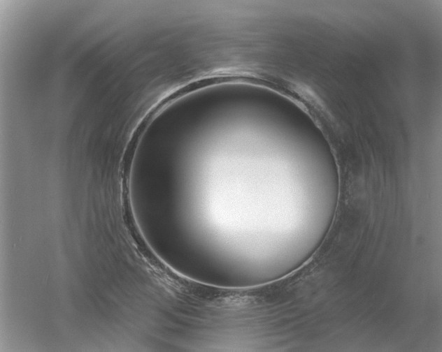 X0000053001268200507151912