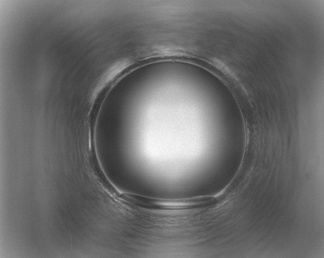 X0000053001269200507151912