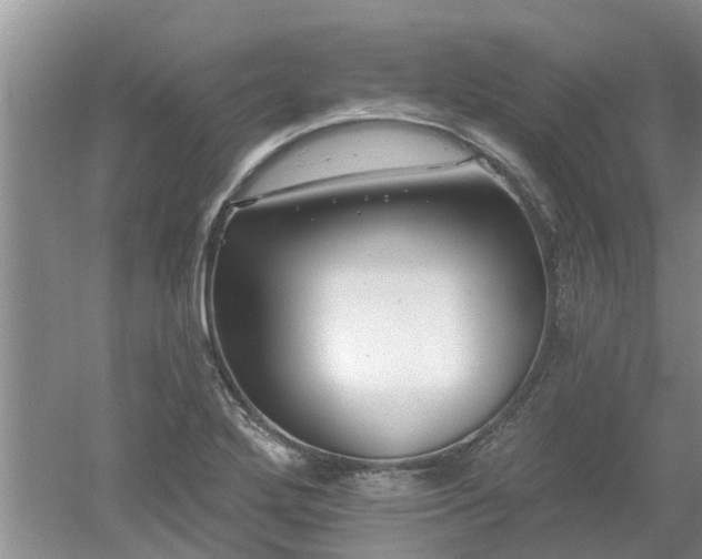 X0000053001272200507151912