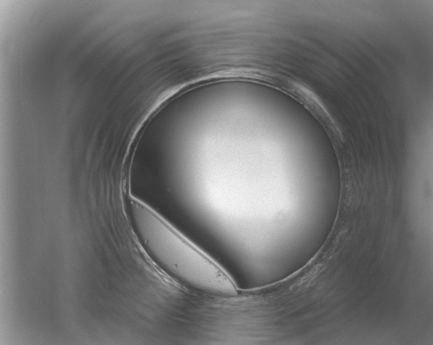 X0000053001284200507151911