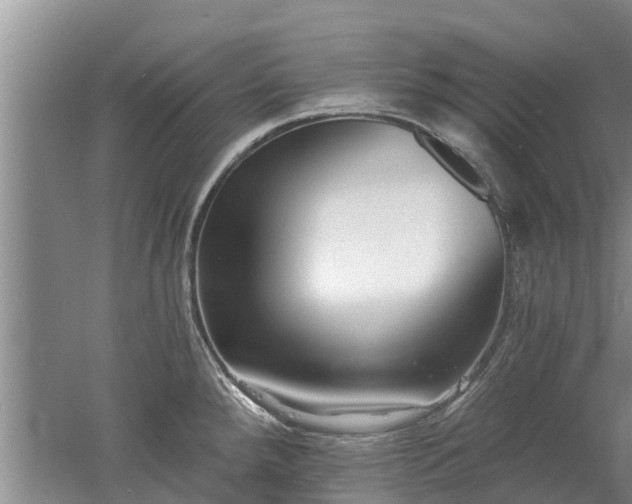 X0000053001288200507151911
