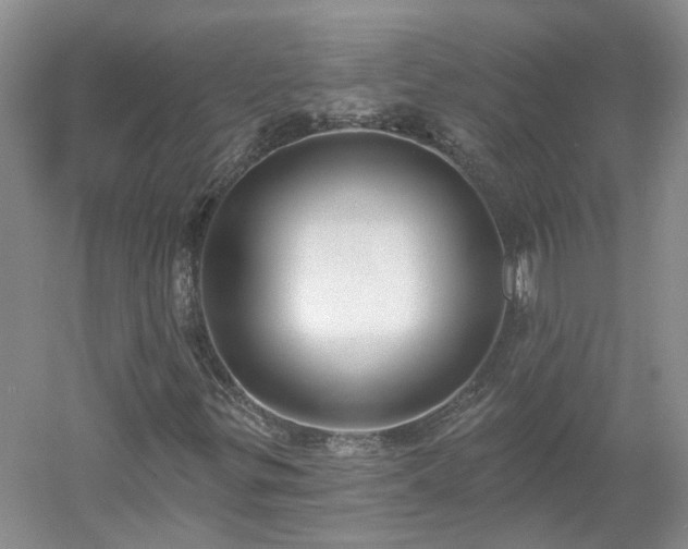 X0000053001299200507151910