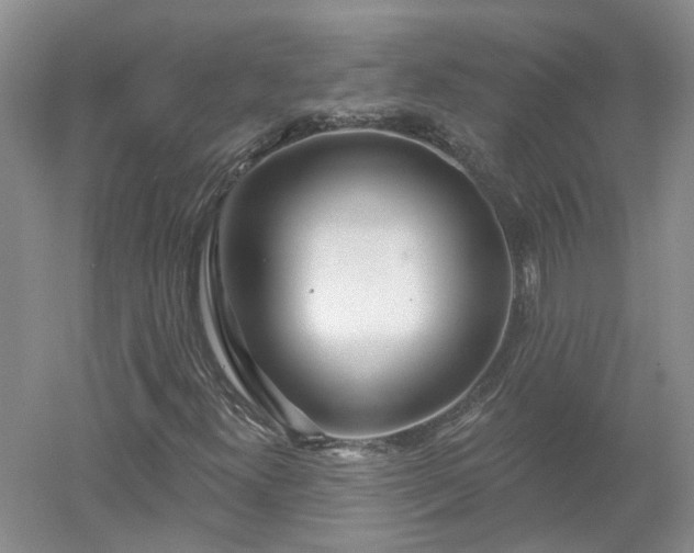 X0000053001300200507151910