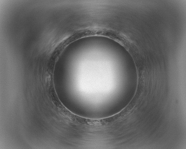 X0000053001302200507151911