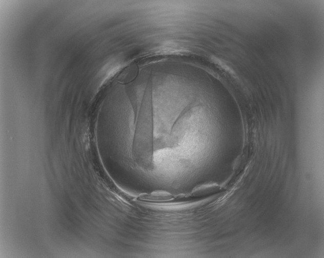X0000053001306200507151911