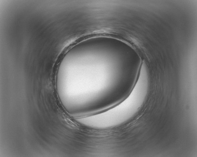 X0000053001308200507151911