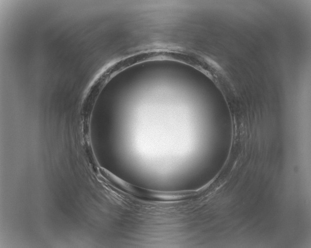 X0000053001310200507151911