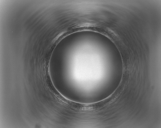 X0000053001313200507151911