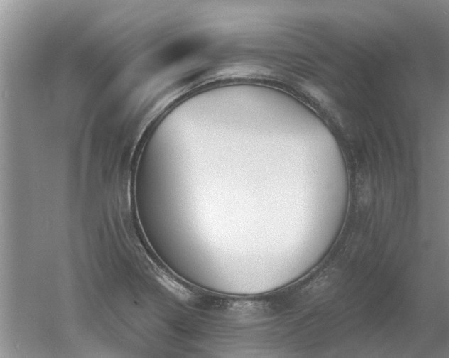 X0000053001322200507151911