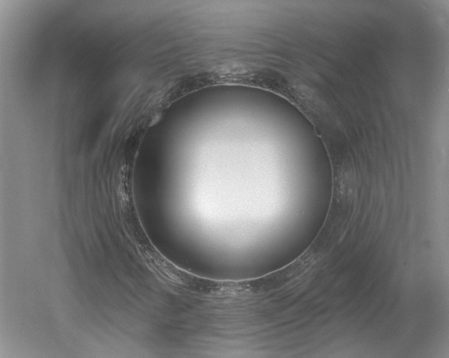 X0000053001346200507151910