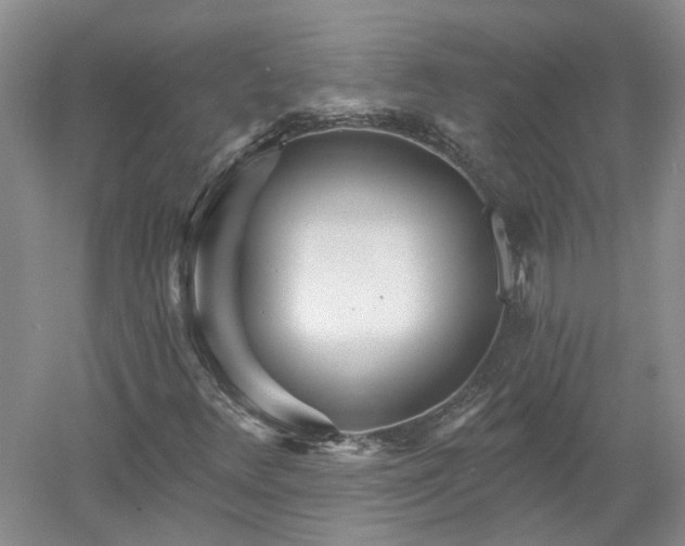 X0000053001348200507151910