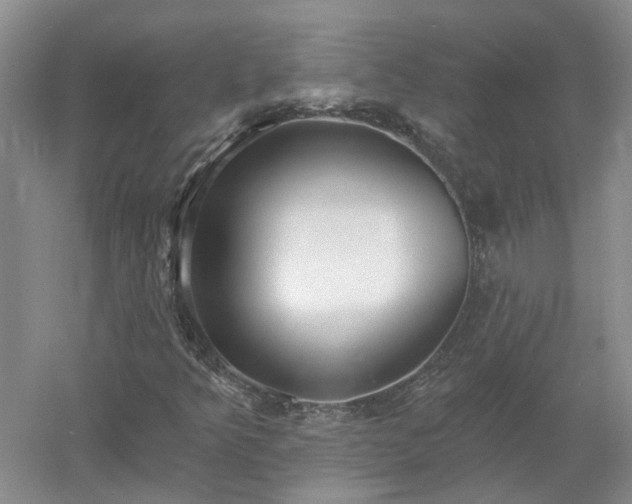 X0000053001349200507151910