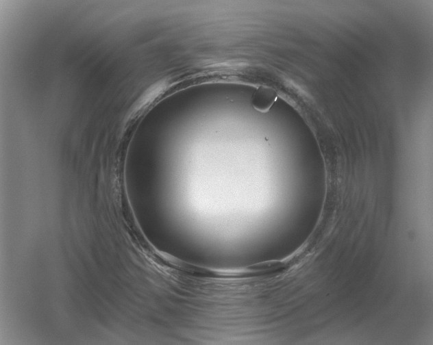 X0000053001354200507151910