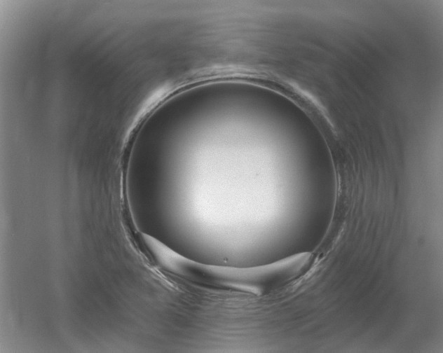 X0000053001365200507151910