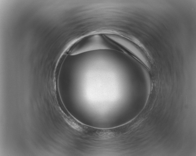 X0000053001372200507151910