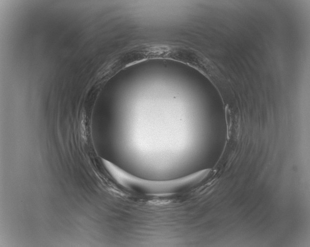X0000053001394200507151909