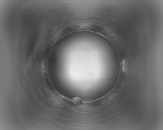 X0000053001395200507151909