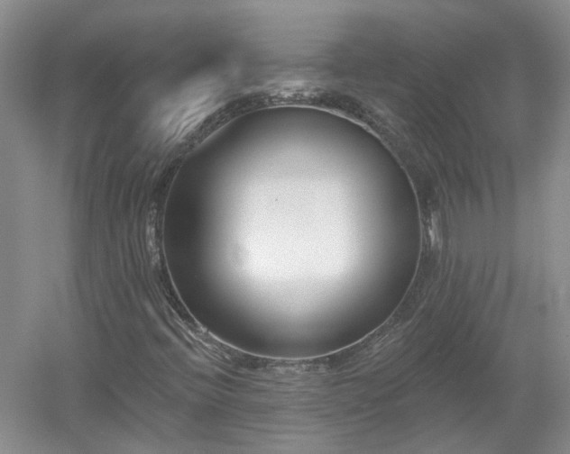 X0000053001396200507151909