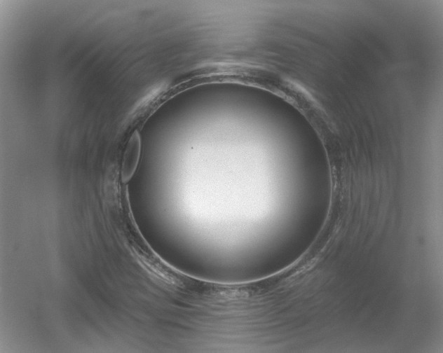 X0000053001403200507151909
