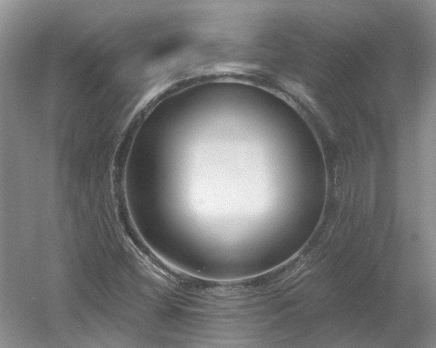X0000053001404200507151909