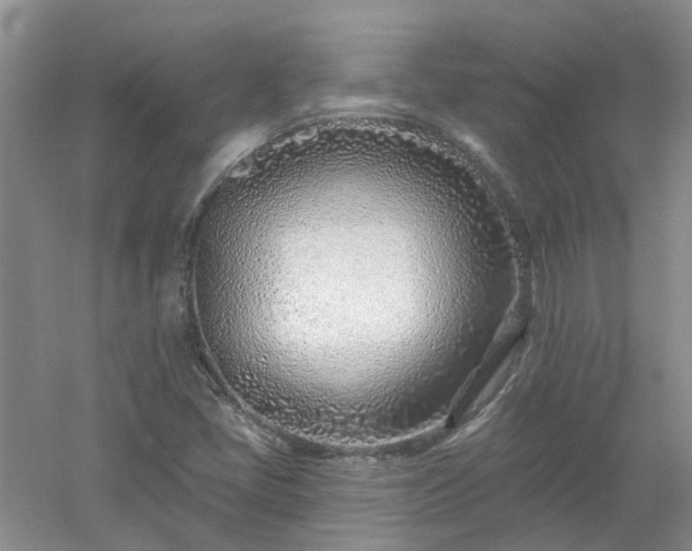X0000053001405200507151909