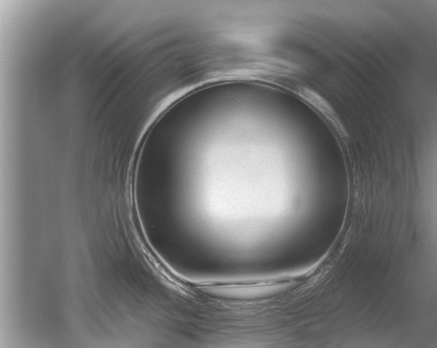 X0000053001436200507151910