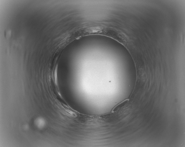 X0000053001442200507151909