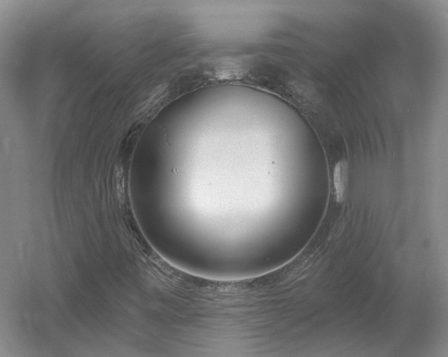 X0000053001443200507151909