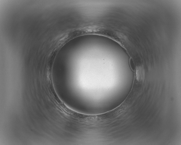 X0000053001444200507151909