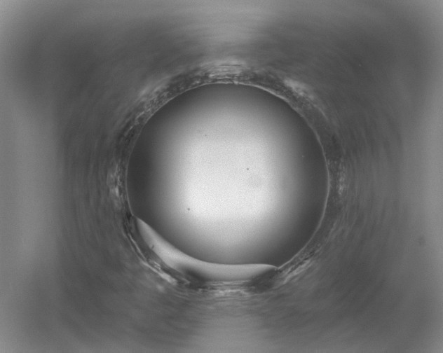 X0000053001445200507151909