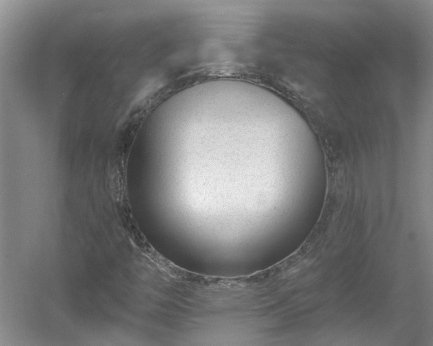 X0000053001446200507151909