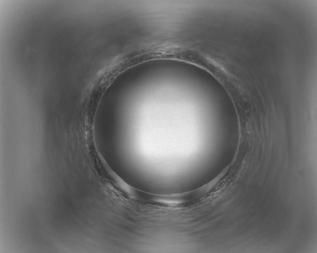 X0000053001447200507151909