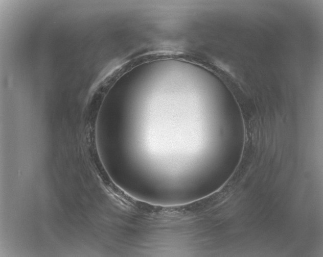 X0000053001448200507151909