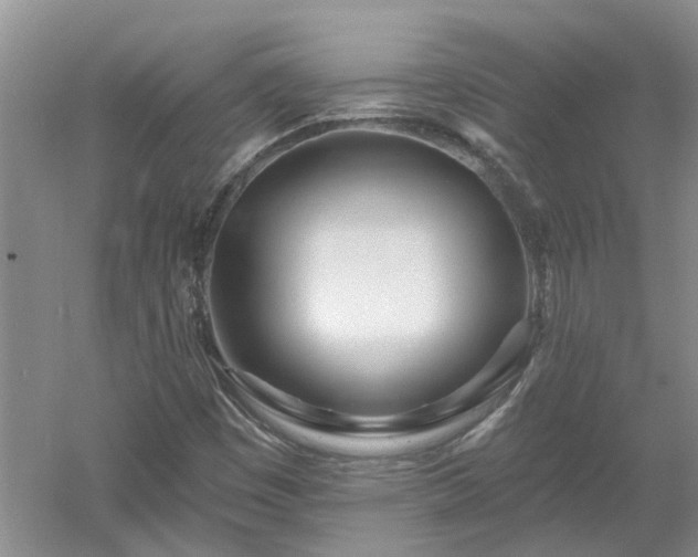 X0000053001449200507151909